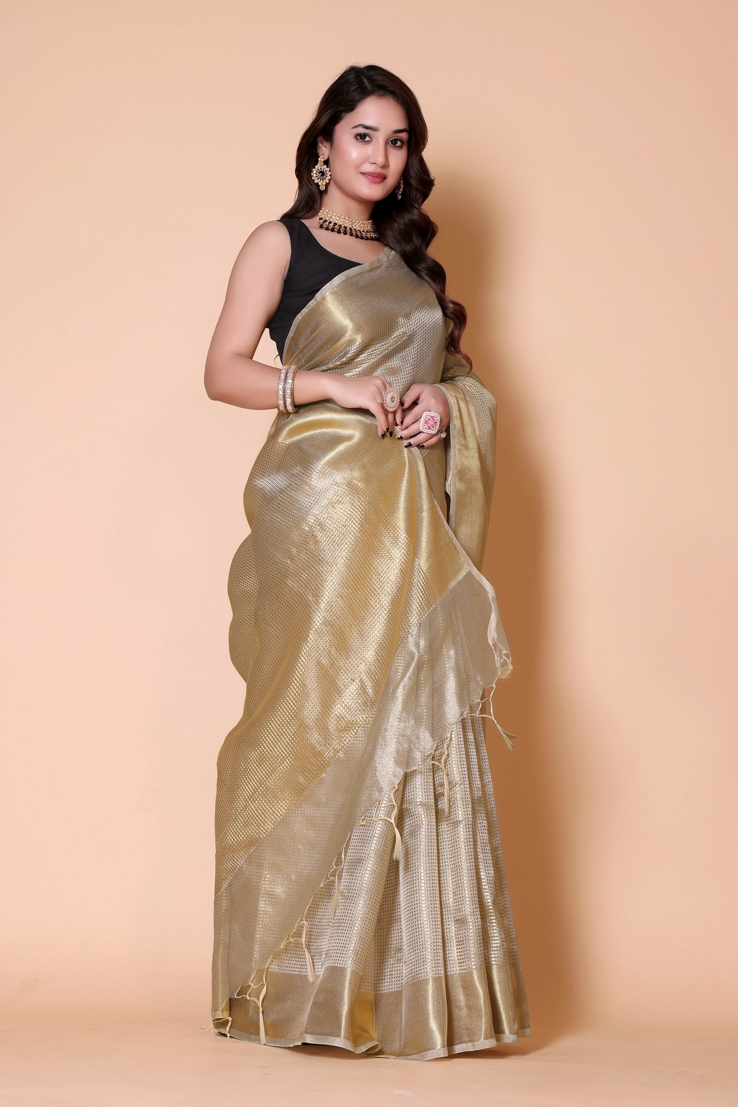 Nayantara Banarasi tissue Silk Saree checks