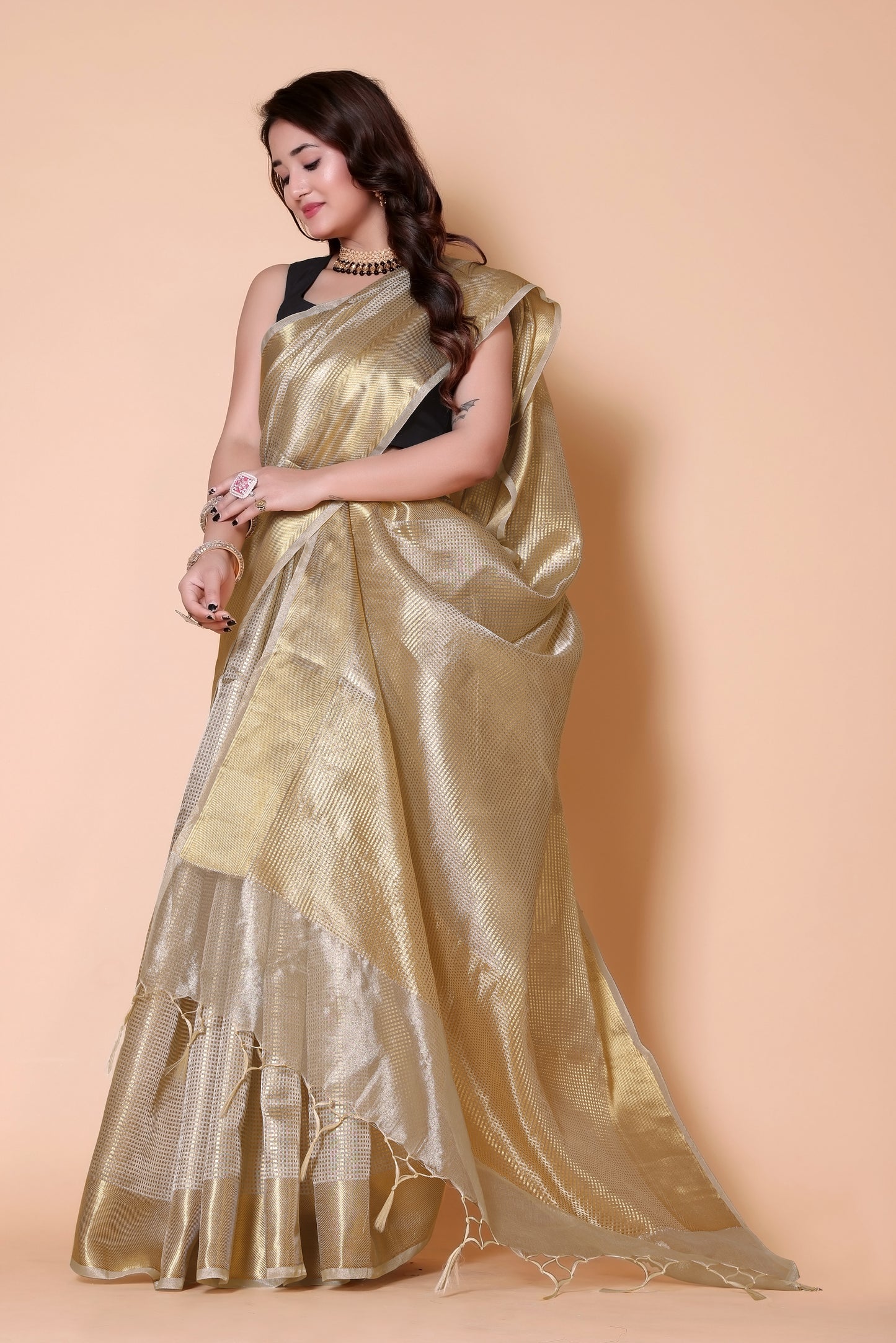 Nayantara Banarasi tissue Silk Saree checks