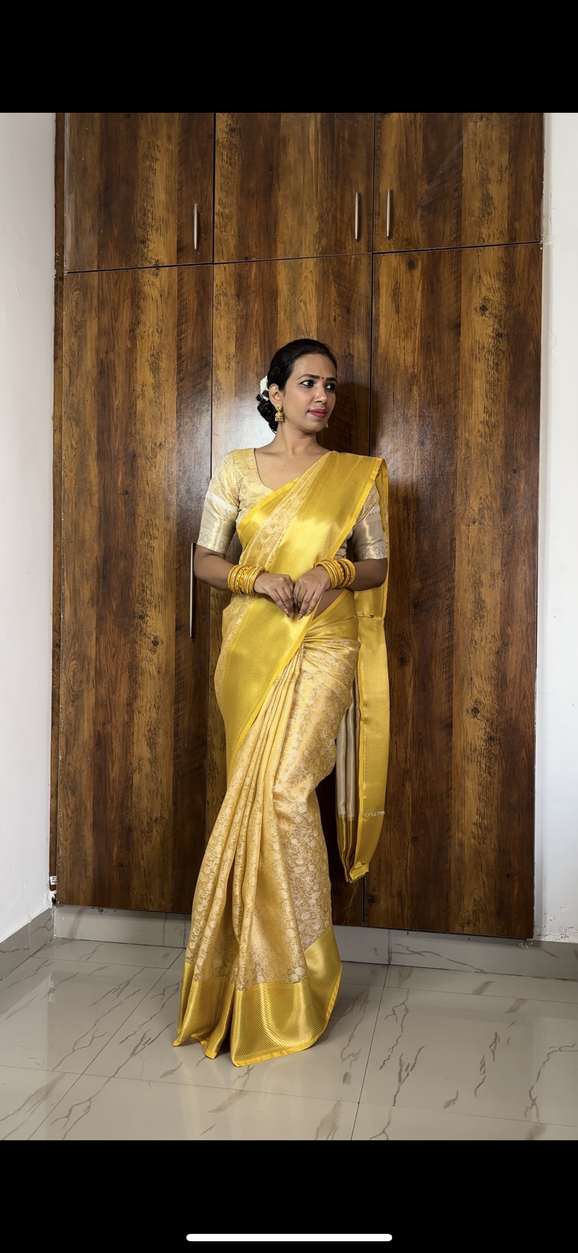 Banarasi Embroidery tissue Silk Saree