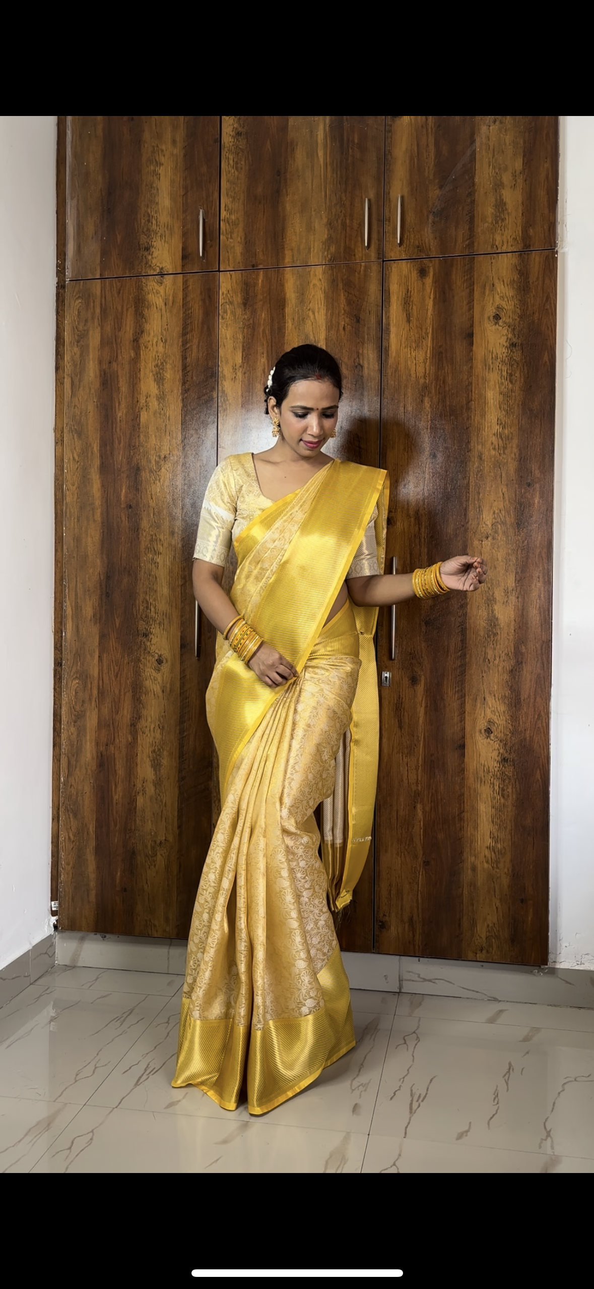 Banarasi Embroidery tissue Silk Saree