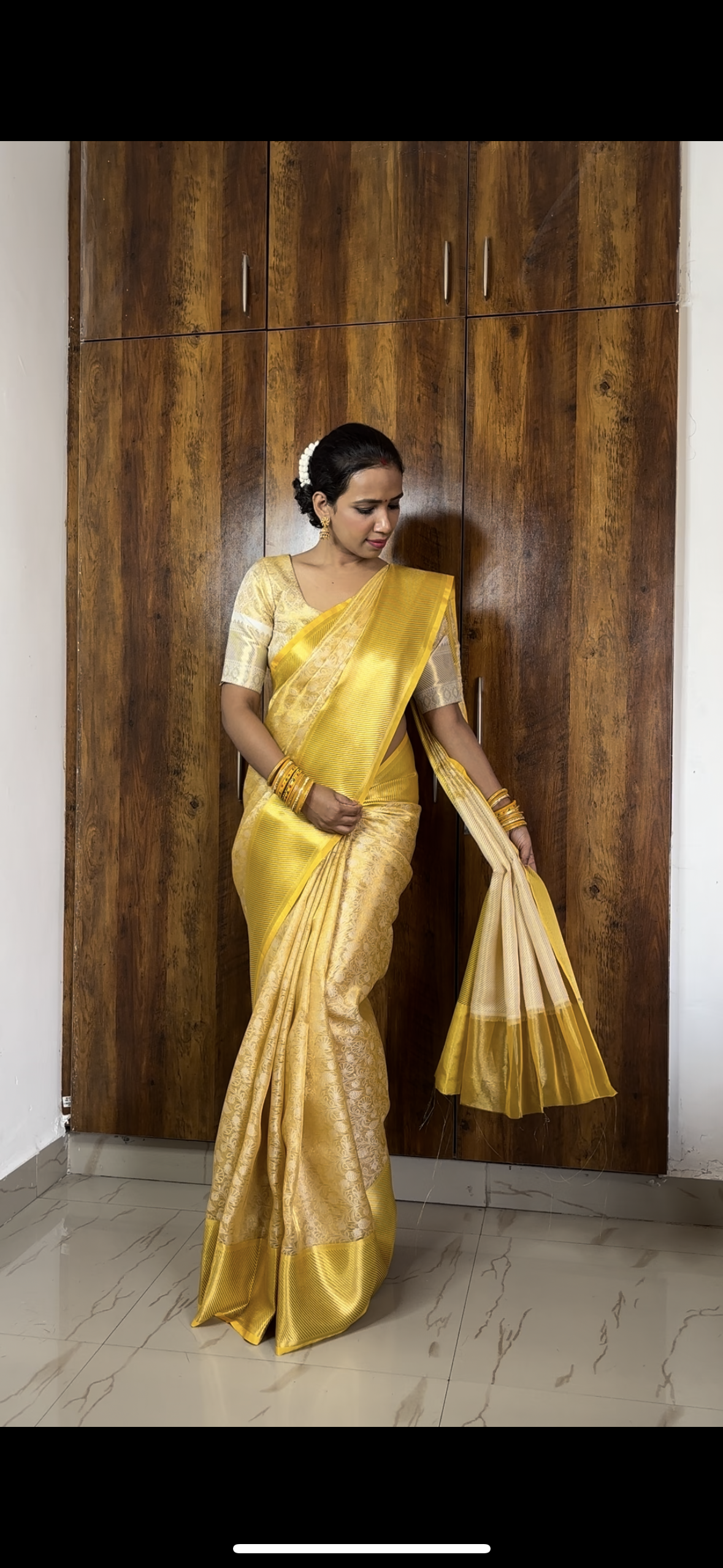 Banarasi Embroidery tissue Silk Saree